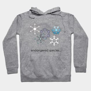 snowflake Hoodie